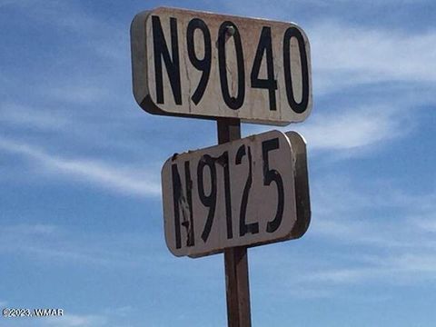 Tiny photo for TBD acr N9125/RANCH RD, Concho, AZ 85924 (MLS # 244424)