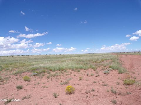 Tiny photo for TBD acr N9125/RANCH RD, Concho, AZ 85924 (MLS # 244424)