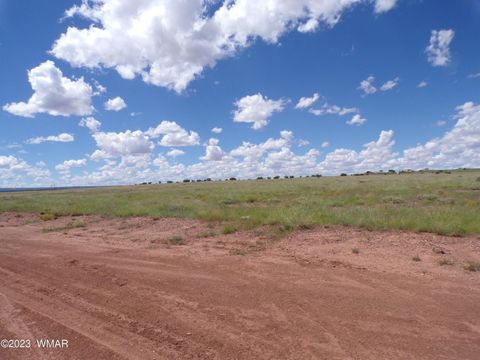Tiny photo for TBD acr N9125/RANCH RD, Concho, AZ 85924 (MLS # 244424)
