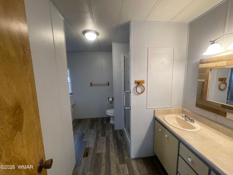 Tiny photo for 1200 N 45Th Drive, Show Low, AZ 85901 (MLS # 258572)