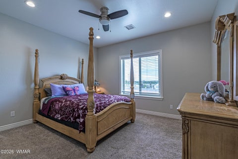 Tiny photo for 819 E Tumbleweed Lane, Taylor, AZ 85939 (MLS # 263081)