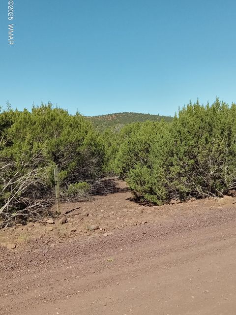Photo of TBD County Road 3193 Lot 258, Vernon, AZ 85940 (MLS # 257486)