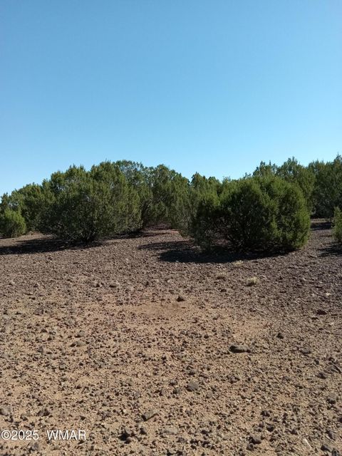 Tiny photo for TBD County Road 3193 Lot 258, Vernon, AZ 85940 (MLS # 257486)