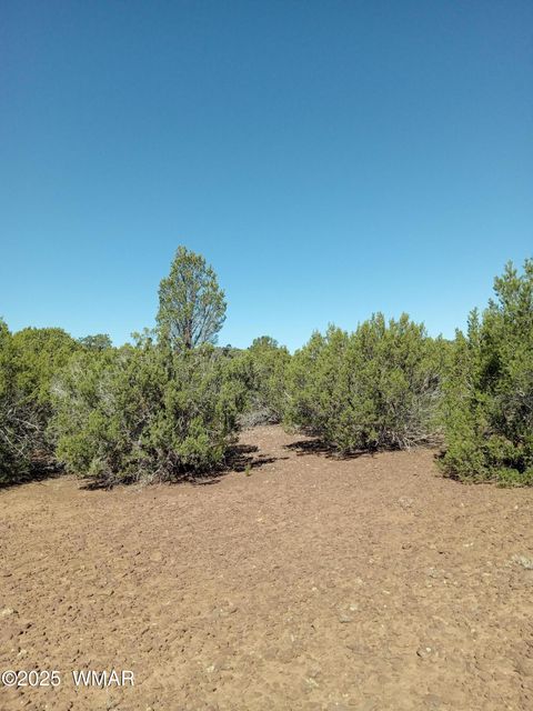 Tiny photo for TBD County Road 3193 Lot 258, Vernon, AZ 85940 (MLS # 257486)