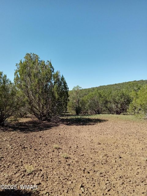 Tiny photo for TBD County Road 3193 Lot 258, Vernon, AZ 85940 (MLS # 257486)
