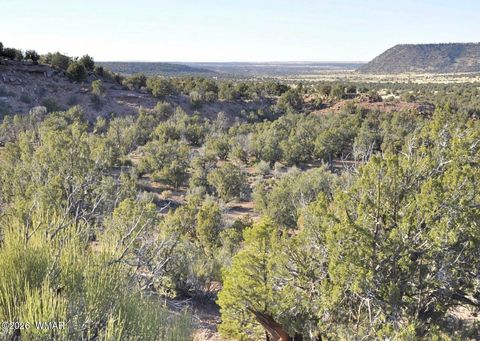 Photo of 3687 Damron Valley Road, Snowflake, AZ 85937 (MLS # 259759)