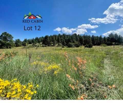 Photo of Lot 12 Red Cabin Ranch, Vernon, AZ 85940 (MLS # 253380)
