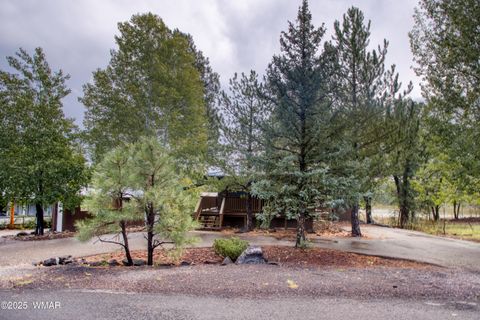 Tiny photo for 2502 Green Pine Lane, Lakeside, AZ 85929 (MLS # 258025)