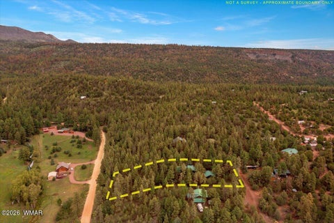 Tiny photo for 5 County Road 2034, Nutrioso, AZ 85932 (MLS # 262792)