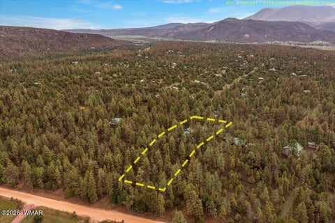 Tiny photo for 5 County Road 2034, Nutrioso, AZ 85932 (MLS # 262792)