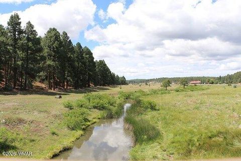 Tiny photo for 661 S Rock Creek Drive, Show Low, AZ 85901 (MLS # 260184)
