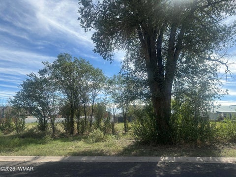 Photo of LOT 143 S River Road, Eagar, AZ 85925 (MLS # 263057)