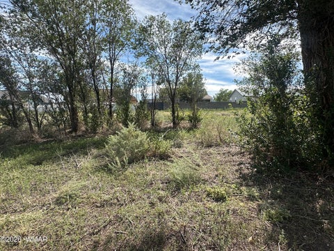 Tiny photo for LOT 143 S River Road, Eagar, AZ 85925 (MLS # 263057)