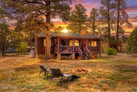 Photo of 3524 Buckskin Road, Overgaard, AZ 85933 (MLS # 260899)