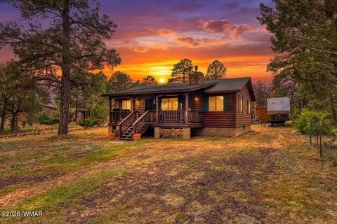 Tiny photo for 3524 Buckskin Road, Overgaard, AZ 85933 (MLS # 260899)