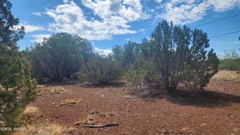 Tiny photo for 1762 Bighorn Place, Show Low, AZ 85901 (MLS # 257083)