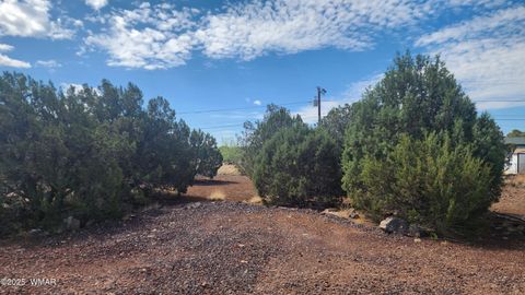 Tiny photo for 1762 Bighorn Place, Show Low, AZ 85901 (MLS # 257083)