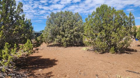 Tiny photo for 1762 Bighorn Place, Show Low, AZ 85901 (MLS # 257083)