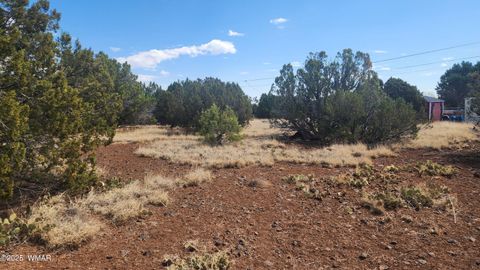 Tiny photo for 1762 Bighorn Place, Show Low, AZ 85901 (MLS # 257083)