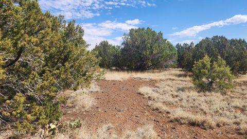 Tiny photo for 1762 Bighorn Place, Show Low, AZ 85901 (MLS # 257083)