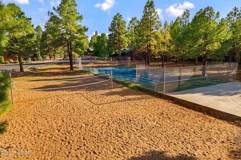 Tiny photo for 2702 Covered Wagon Trail, Overgaard, AZ 85933 (MLS # 257806)