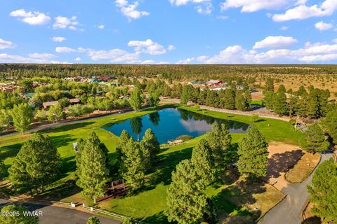 Tiny photo for 2702 Covered Wagon Trail, Overgaard, AZ 85933 (MLS # 257806)