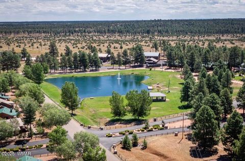 Tiny photo for 2702 Covered Wagon Trail, Overgaard, AZ 85933 (MLS # 257806)