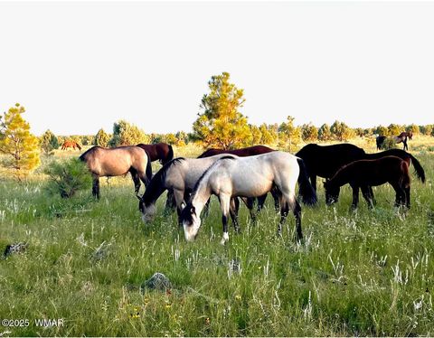Tiny photo for 2702 Covered Wagon Trail, Overgaard, AZ 85933 (MLS # 257806)