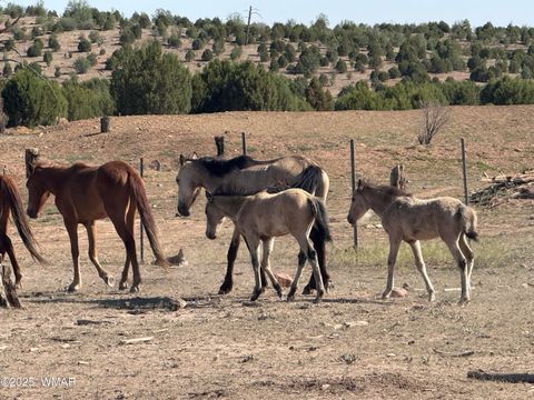 Tiny photo for 2702 Covered Wagon Trail, Overgaard, AZ 85933 (MLS # 257806)