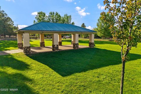 Tiny photo for 2702 Covered Wagon Trail, Overgaard, AZ 85933 (MLS # 257806)