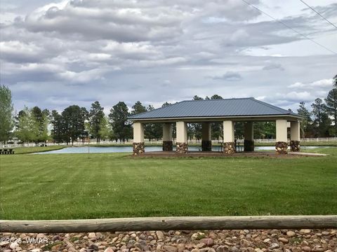 Tiny photo for 2702 Covered Wagon Trail, Overgaard, AZ 85933 (MLS # 257806)