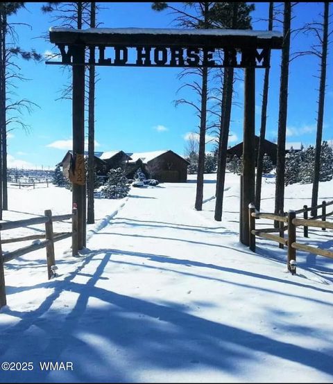 Tiny photo for 2702 Covered Wagon Trail, Overgaard, AZ 85933 (MLS # 257806)