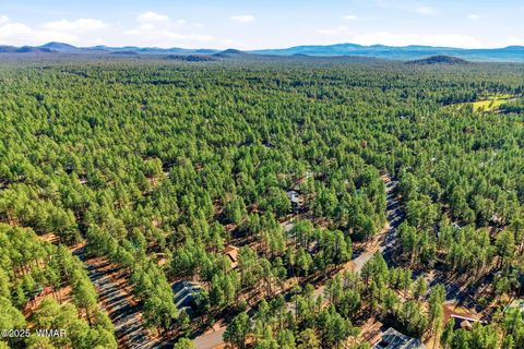 Tiny photo for 6362 Palomino Drive, Pinetop, AZ 85935 (MLS # 258941)