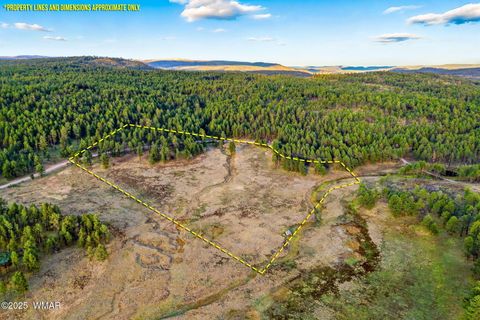 Tiny photo for 1A FOREST ROAD 26, Alpine, AZ 85920 (MLS # 239420)