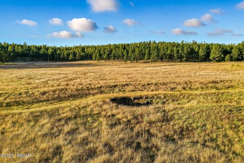 Tiny photo for 1A FOREST ROAD 26, Alpine, AZ 85920 (MLS # 239420)