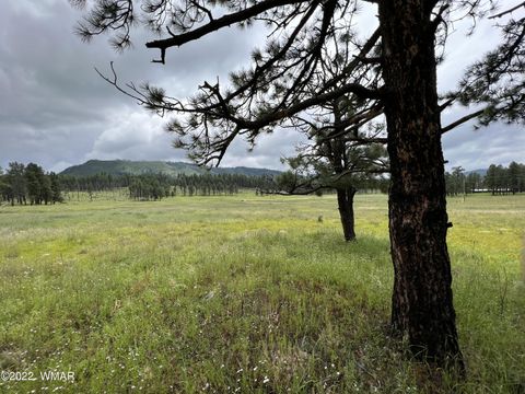 Tiny photo for 1A FOREST ROAD 26, Alpine, AZ 85920 (MLS # 239420)