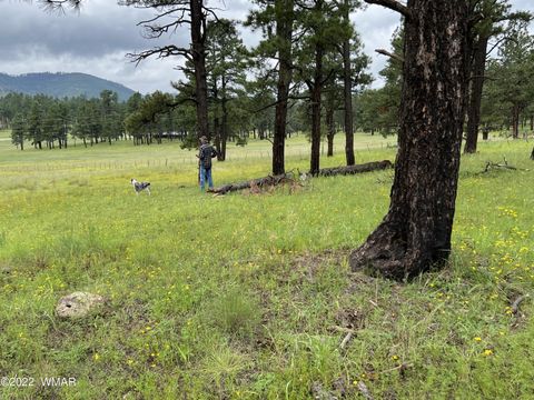 Tiny photo for 1A FOREST ROAD 26, Alpine, AZ 85920 (MLS # 239420)
