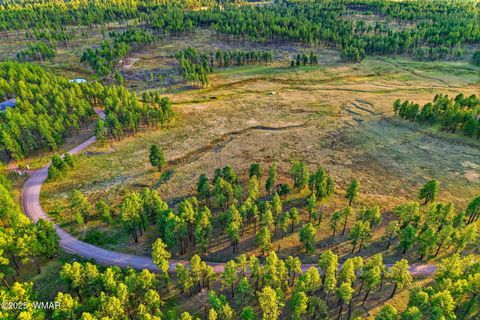 Tiny photo for 1A FOREST ROAD 26, Alpine, AZ 85920 (MLS # 239420)