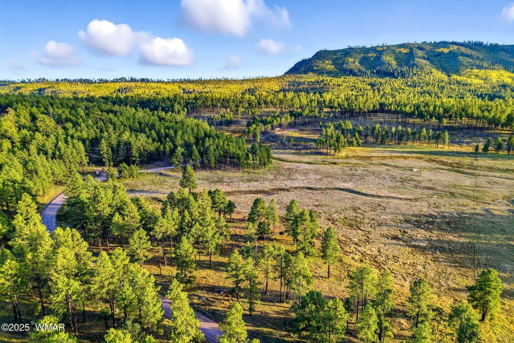 Photo for 1A FOREST ROAD 26, Alpine, AZ 85920 (MLS # 239420)