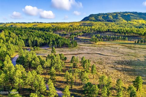 Photo of 1A FOREST ROAD 26, Alpine, AZ 85920 (MLS # 239420) Photo of 1A FOREST ROAD 26, Alpine, AZ 85920 (MLS # 239420)