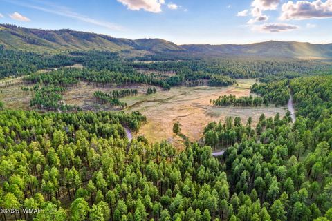 Tiny photo for 1A FOREST ROAD 26, Alpine, AZ 85920 (MLS # 239420)