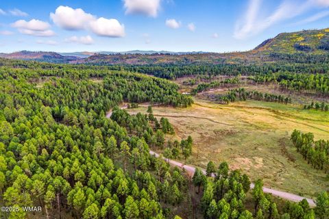 Tiny photo for 1A FOREST ROAD 26, Alpine, AZ 85920 (MLS # 239420)