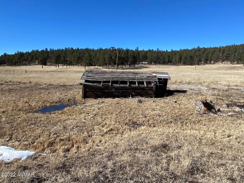 Tiny photo for 1A FOREST ROAD 26, Alpine, AZ 85920 (MLS # 239420)