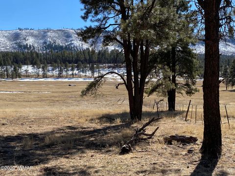 Tiny photo for 1A FOREST ROAD 26, Alpine, AZ 85920 (MLS # 239420)