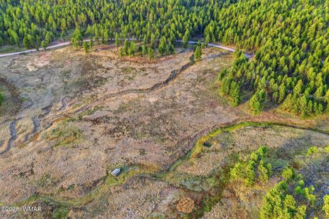 Tiny photo for 1A FOREST ROAD 26, Alpine, AZ 85920 (MLS # 239420)