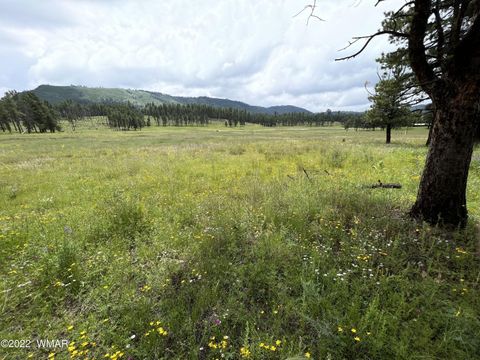 Tiny photo for 1A FOREST ROAD 26, Alpine, AZ 85920 (MLS # 239420)