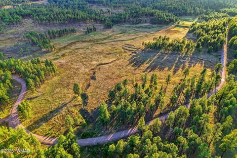 Tiny photo for 1A FOREST ROAD 26, Alpine, AZ 85920 (MLS # 239420)