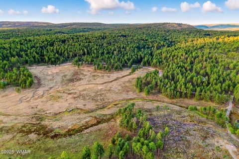 Tiny photo for 1A FOREST ROAD 26, Alpine, AZ 85920 (MLS # 239420)