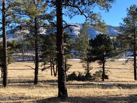 Tiny photo for 1A FOREST ROAD 26, Alpine, AZ 85920 (MLS # 239420)