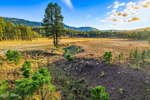 Tiny photo for 1A FOREST ROAD 26, Alpine, AZ 85920 (MLS # 239420)